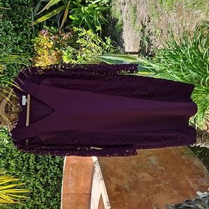 Purple Long Sleeve Lace Calvin Klein Dress